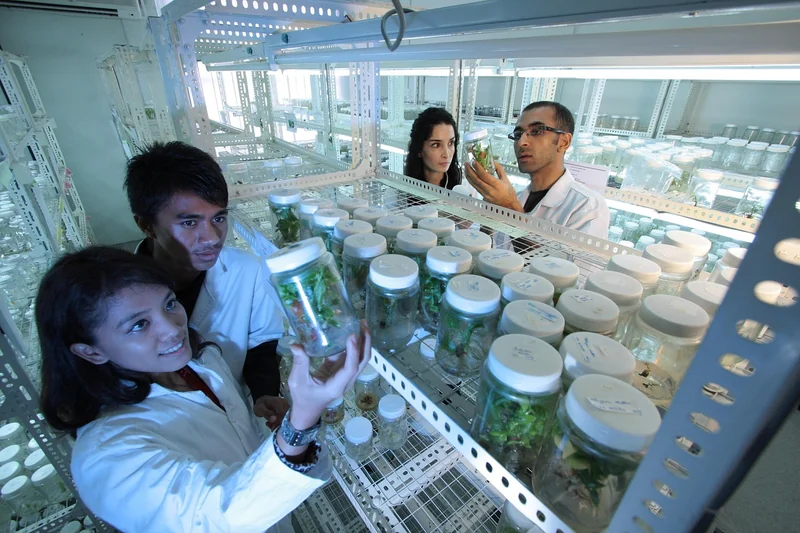 Subventions et avances sur les projets innovants